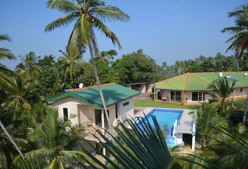 בית מלון כפרי The Hilltop Boosa