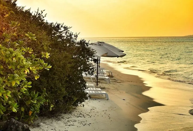 پانسیون Dhiffushi White Sand Beach