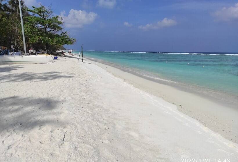 پانسیون Planktons Beach