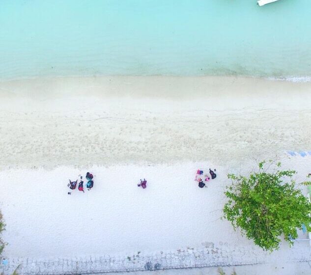 پانسیون Planktons Beach