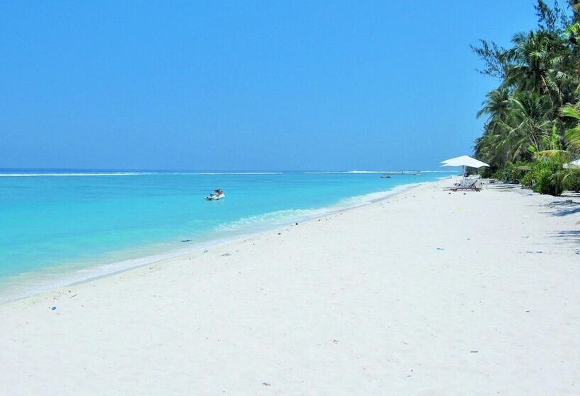 پانسیون Planktons Beach