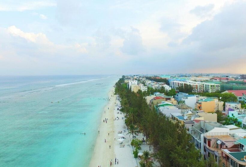 پانسیون Planktons Beach