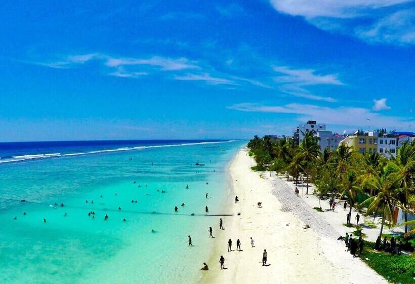 پانسیون Planktons Beach