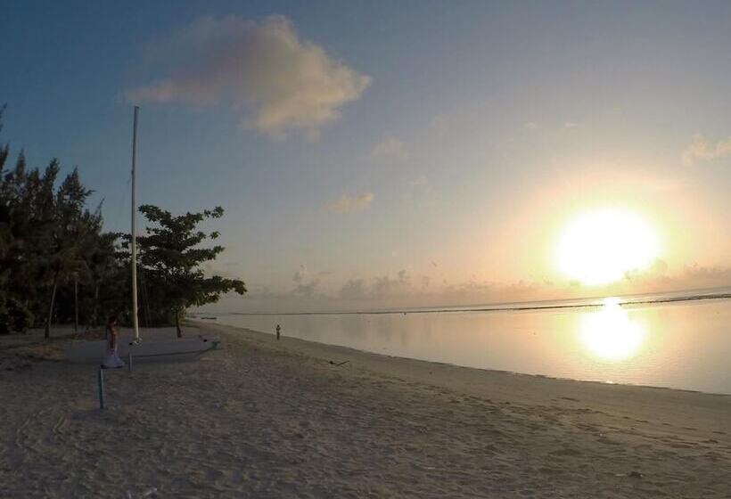 پانسیون Planktons Beach