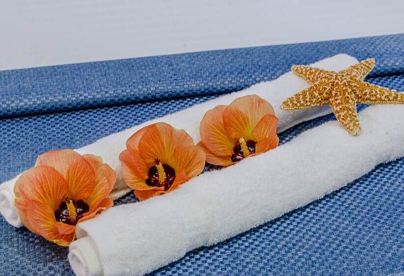 پانسیون Velana Beach Hotel Maldives