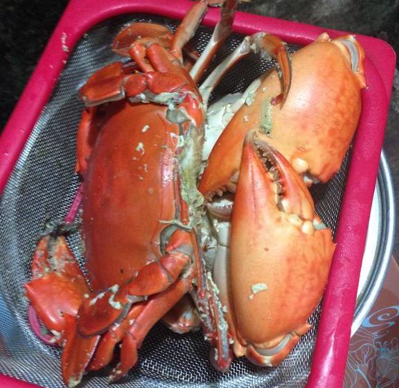 هاستل Thien Nhan