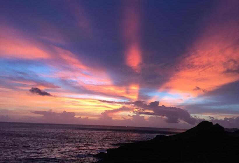 تختخواب و صبحانه A Home