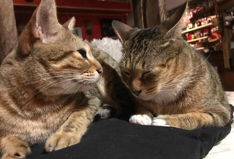 تختخواب و صبحانه A Home