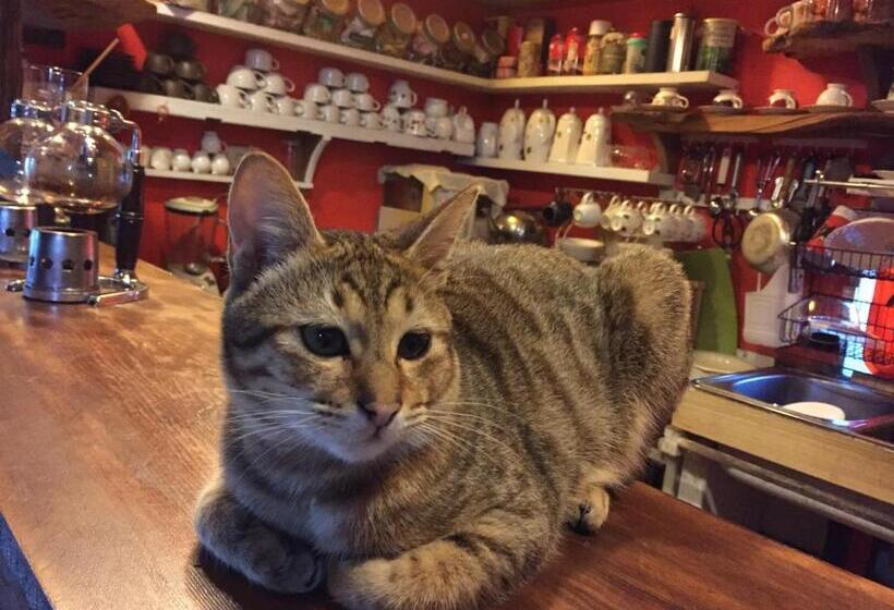 تختخواب و صبحانه A Home