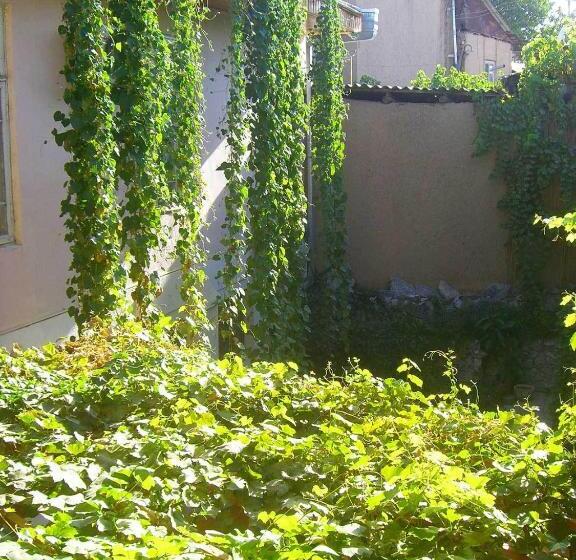 تختخواب و صبحانه Jahongir