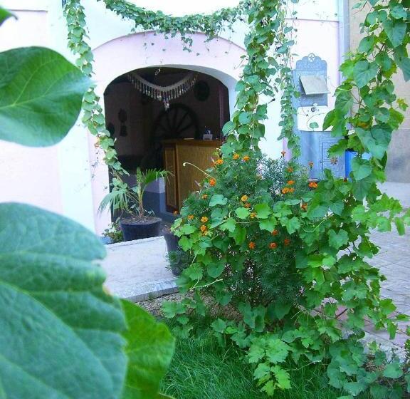 تختخواب و صبحانه Jahongir