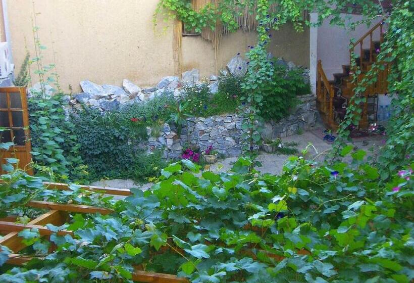 تختخواب و صبحانه Jahongir