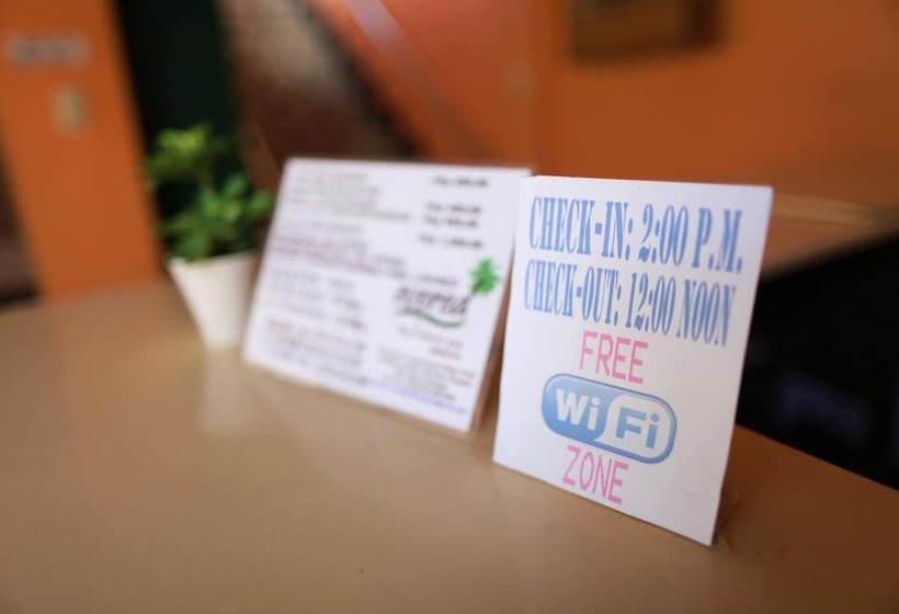 ホテル Alamo Bay Inn Boracay