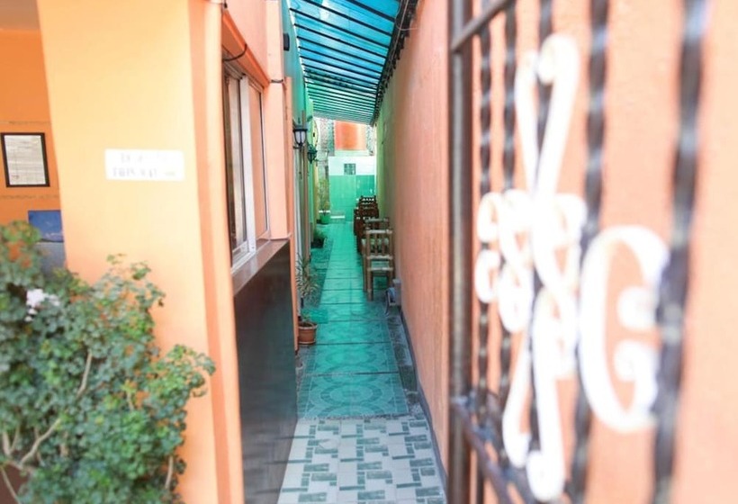 ホテル Alamo Bay Inn Boracay