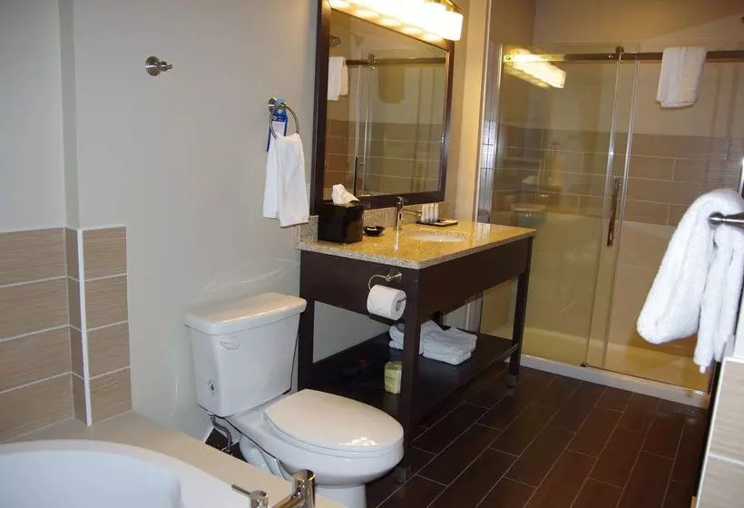 هتل Best Western Plus Lacombe Inn & Suites