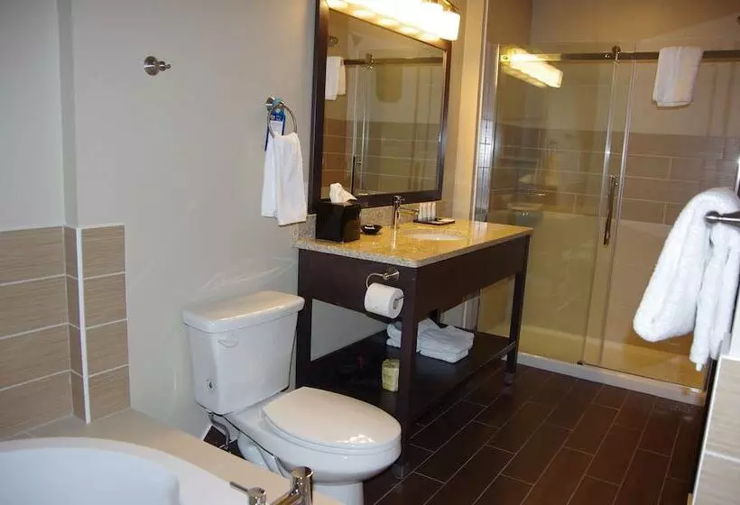هتل Best Western Plus Lacombe Inn & Suites