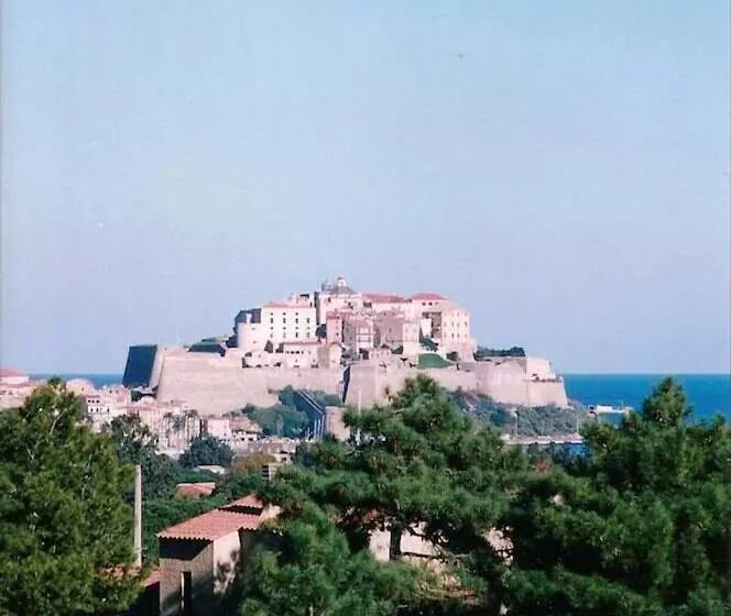 هتل The Manor