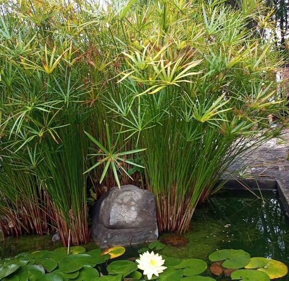 فندق صغير Posada Tia Miny