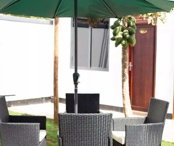 تختخواب و صبحانه The Baobab Homestay