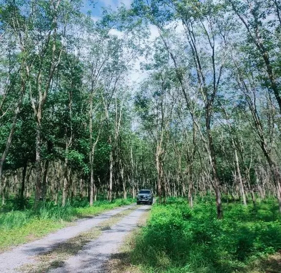 Aamiaismajoitus (B&B) Doisky Phangnga