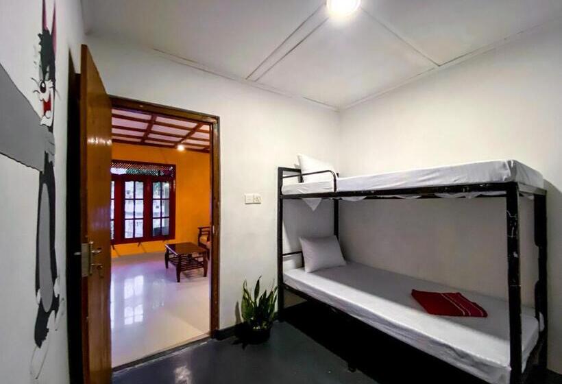 Mad Monkey Hostel And Lounge