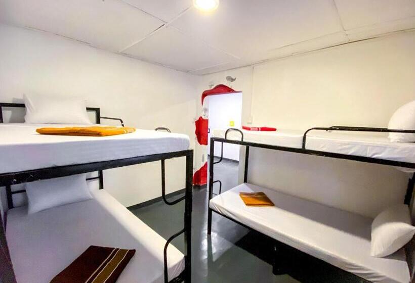 Mad Monkey Hostel And Lounge