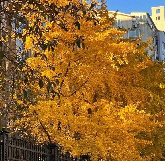 East Sacred Hotel ᴸᴱo Foreign Accept Two Minutes Walk To Subway 丨tourism Service English Speakin