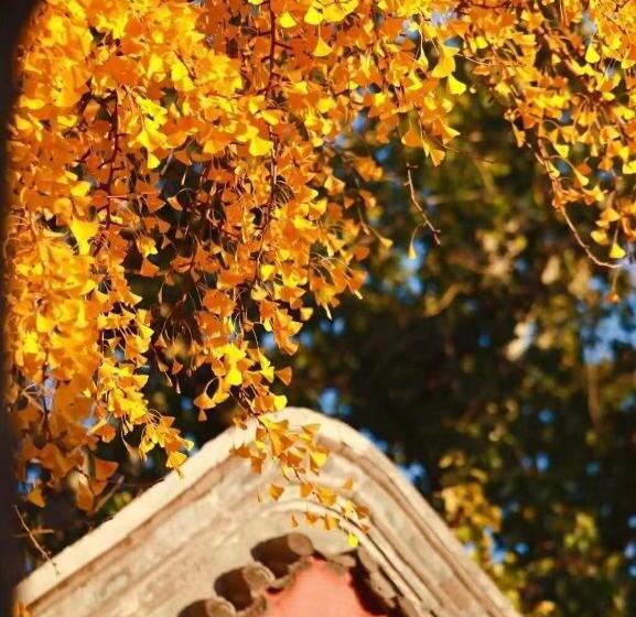 East Sacred Hotel ᴸᴱo Foreign Accept Two Minutes Walk To Subway 丨tourism Service English Speakin