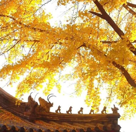 East Sacred Hotel ᴸᴱo Foreign Accept Two Minutes Walk To Subway 丨tourism Service English Speakin