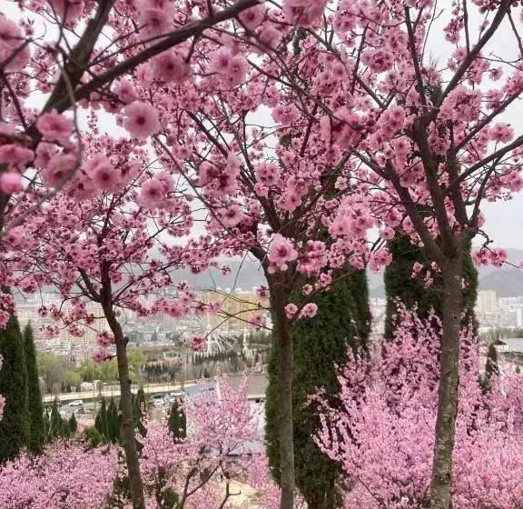 East Sacred Hotel ᴸᴱo   Foreign Accept   Two Minutes Walk To Subway 丨tourism Service English Speakin