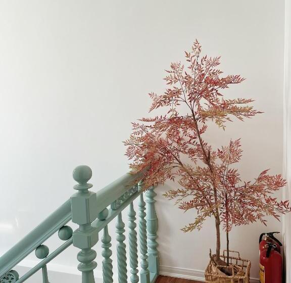 هتل Under The Sun Homestay