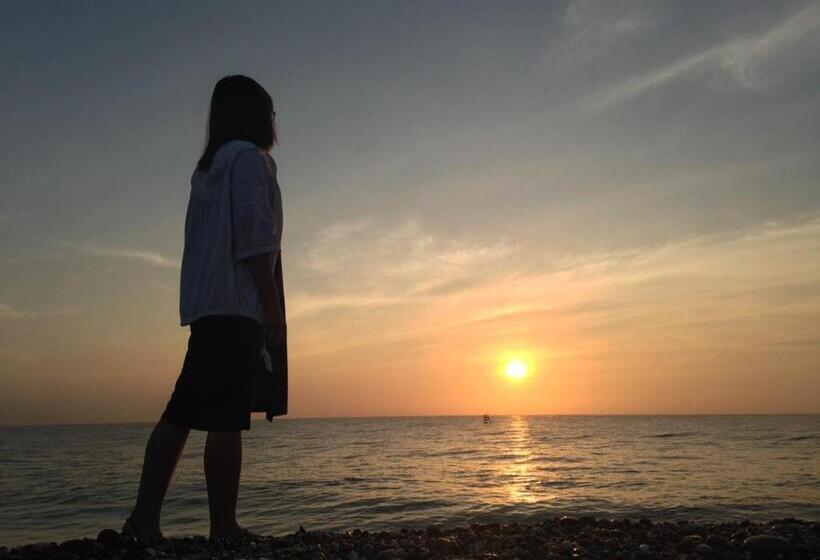 ユースホステル Dropby B&b