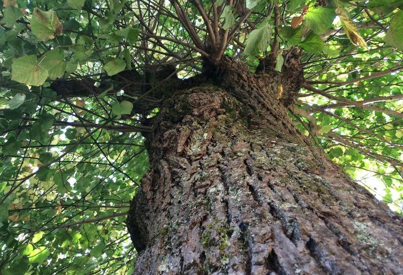 B&bchambre D Hôtes La Closerie Saint Vincent