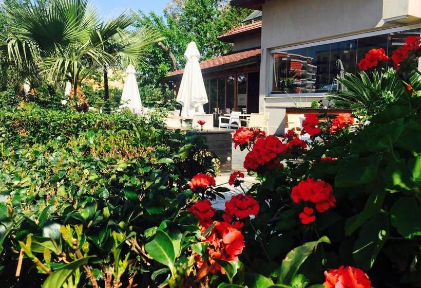 Godija Hotel & Suites