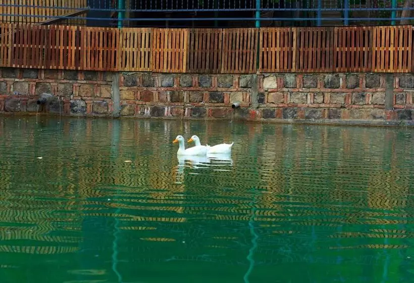 ホテル Amiran`s Lake