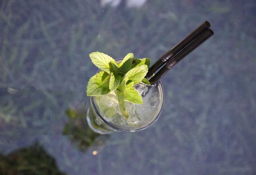 בית מלון כפרי Freskia