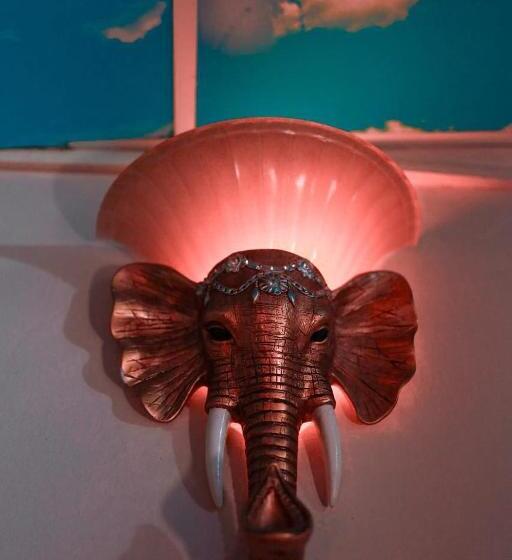 هتل Safari Wildlife Lodge & Camp