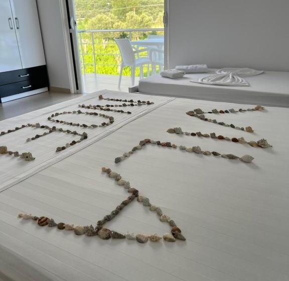 فندق Villa Noel Borsh