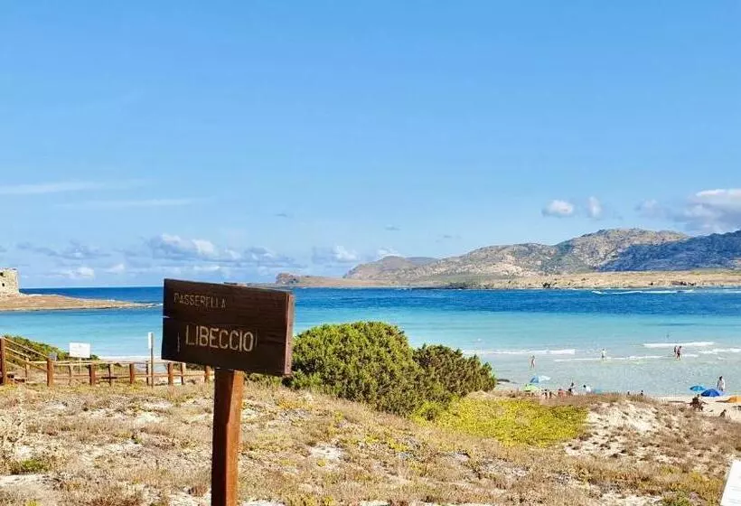 Villas With Air Conditioning And Private Outdoor Area Just A Few Minutes From La Pelosa