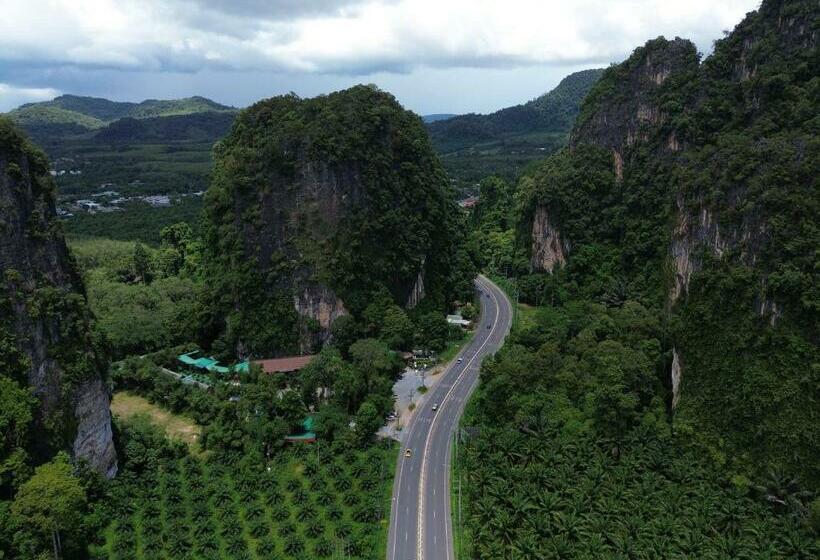 Mountain View Party Hostel