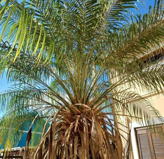 Hostel Universitário