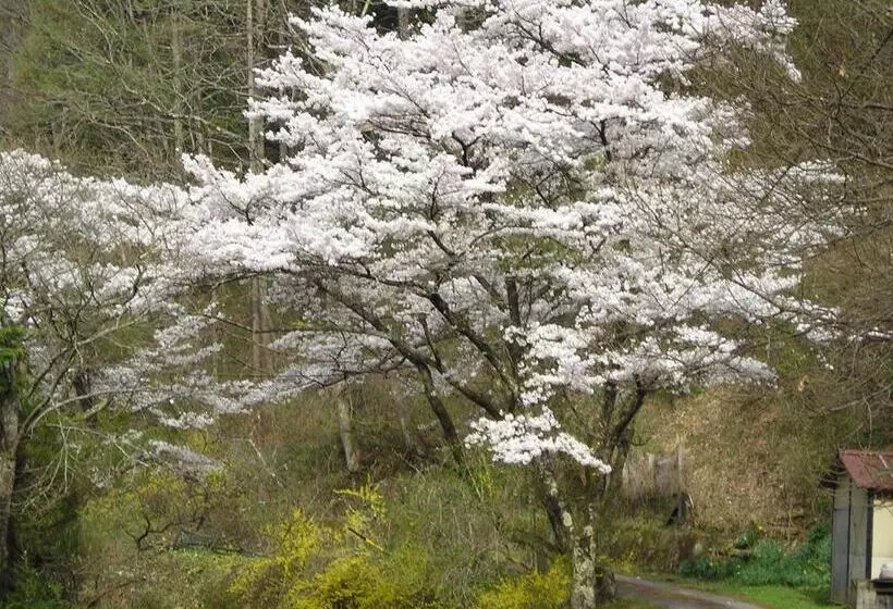 ホテル Nakaya Ryokan