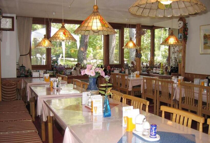 צימר Hirotani Pension