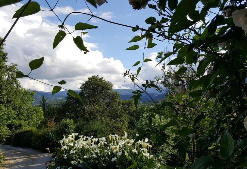 Bed and Breakfast Chambres D Hôtes St Jacques Adults Only