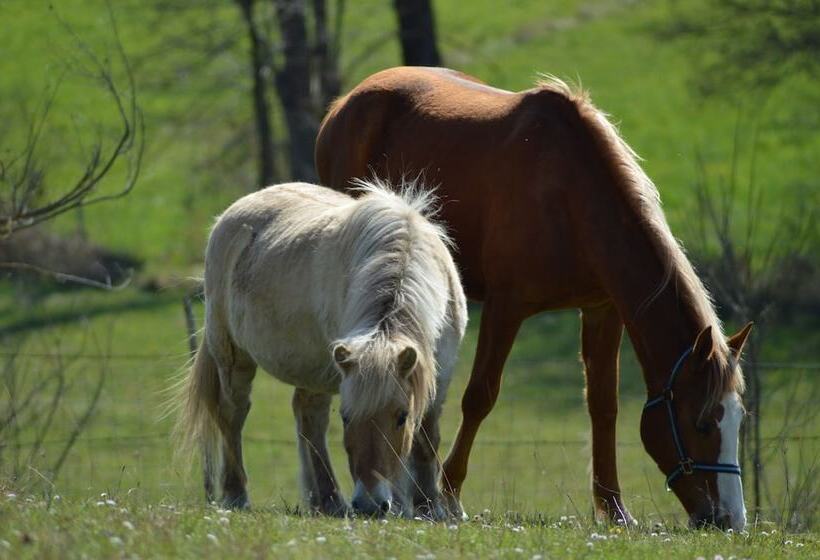 Bed and Breakfast Chambres D Hôtes St Jacques Adults Only