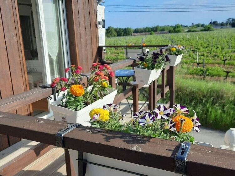 住宿加早餐  Le Domaine De Canesse