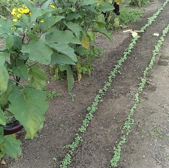 בית מלון כפרי Auberge Du Vieux Moulin