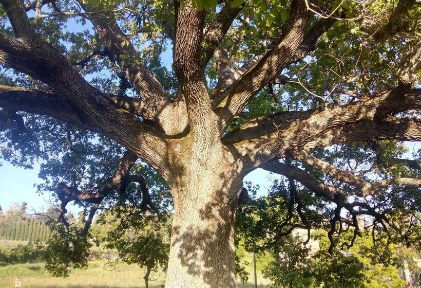 Les Chambres D Adeline B&b
