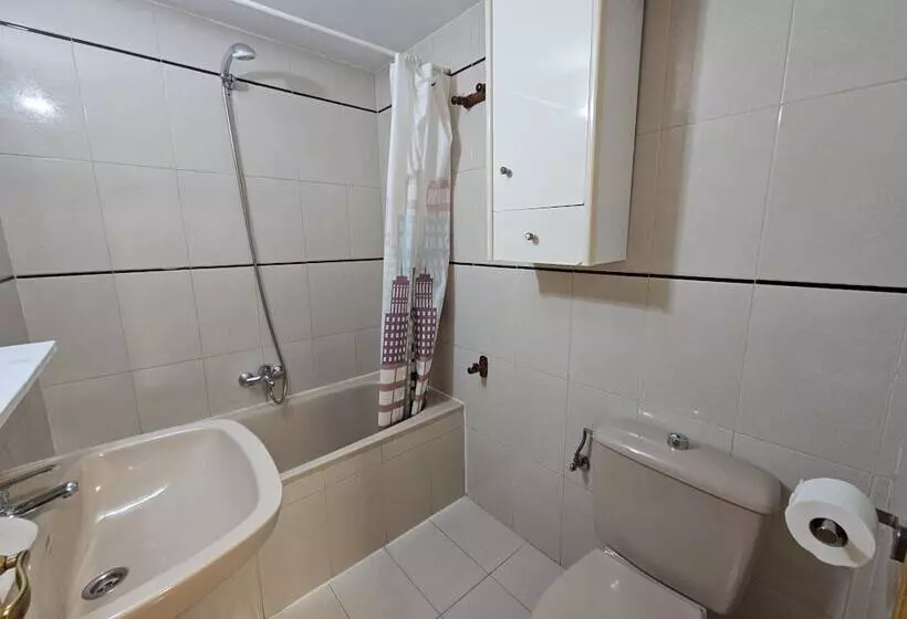 Apartamentos Confort Formigal 3000