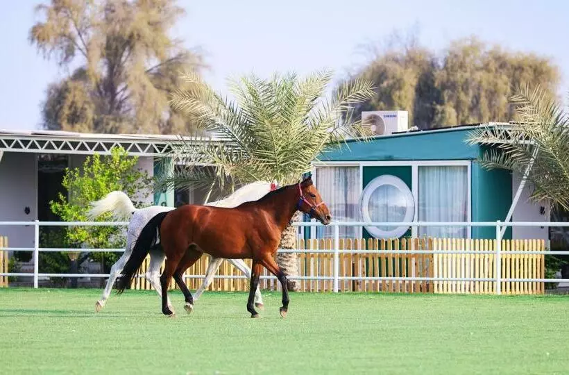 Hotelli Anavrin Equestrian Retreat